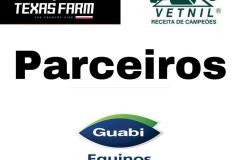 parceiros
