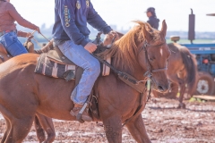FOTOGRAFIA-3TAMBORES-EXPOPALOTINA-2019-diferente-retouch.com.br (17 de 60)