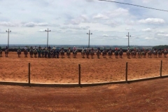 46503178_433251437503985_7194121008788275200_n